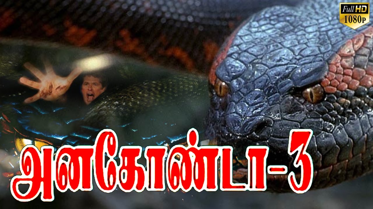 Anaconda song youtube